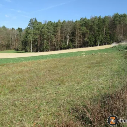 Jennersdorf: Zentrumsnaher Bauplatz in sonniger Ruhelage - Bild 3