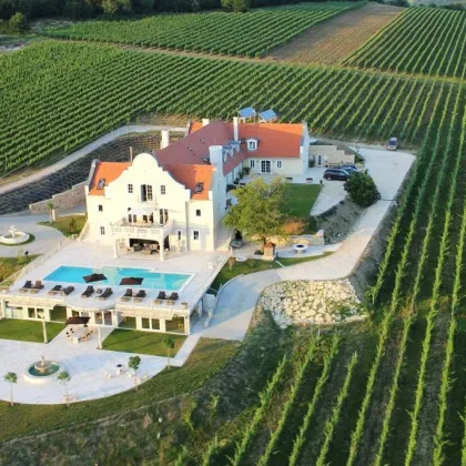 Repräsentatives Hotel  Schloss Herrenhaus mit 10 Hektar Weingut nähe Balaton, rundum 4200 Hektar Jagdrevier, Firmensitz, Seminarresort - Bild 3