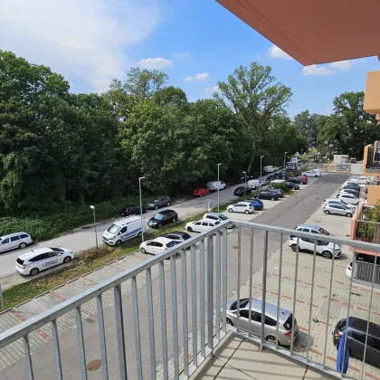 SOFORT verfügbare Mietwohnung mit Balkon im 3. Liftstock & Parkplatz-Option nahe Merkur City (Top 34) - Bild 3