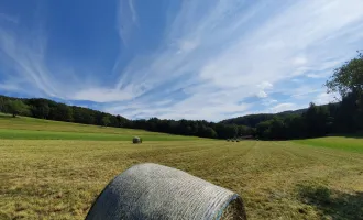 SONNENTAGE GENIESSEN! Landwirtschaftliche Grundstücke für Freizeit- und Hobbyaktivitäten zu verpachten!