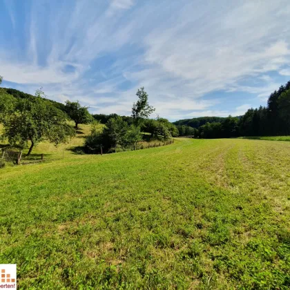 SONNENTAGE GENIESSEN! Landwirtschaftliche Grundstücke für Freizeit- und Hobbyaktivitäten zu verpachten! - Bild 2