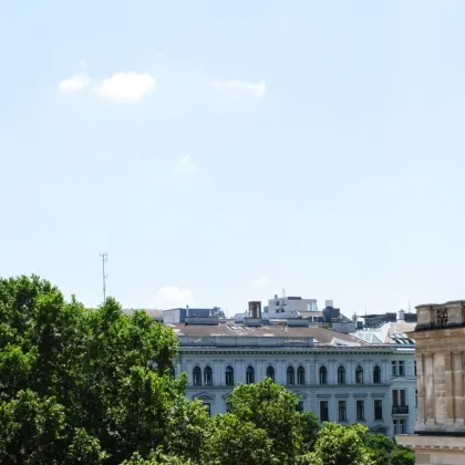 Einzigartige luxuriöse Wohnung im Palais Schottenring - Bild 3