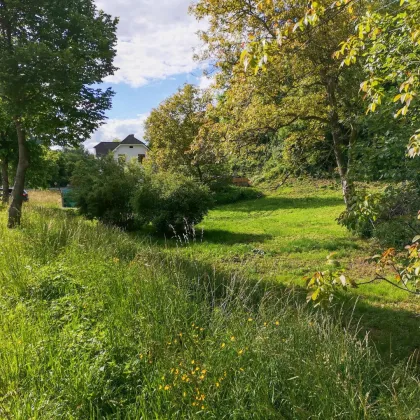 Update! - Freiland Grundstück an der Grazer Stadtgrenze. - Vielfältige Nutzungsmöglichkeiten. - Bild 2