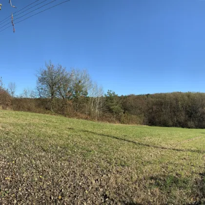 Baugrundstück, Toplage, leichte Süd-Hanglage, Nähe Loipersdorf und Jennersdorf - Bild 3