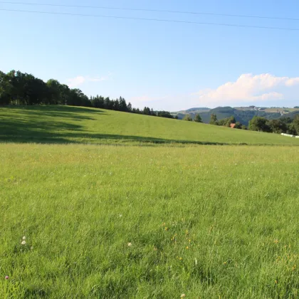 Wunderschöner Bauplatz mit Panoramablick! - Bild 2