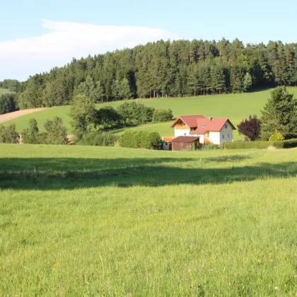 Wunderschöner Bauplatz mit Panoramablick! - Bild 3