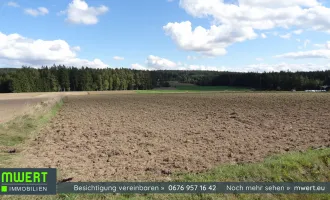 2 große Baugründe in Klein Hirschenschlag - Gemeinde Reingers