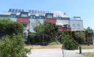 Sonnige Balkon Wohnung in Achau / Bez. Mödling