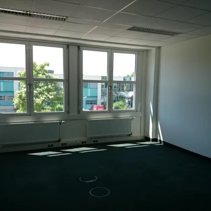 Büro nahe Flughafen Wien, Stellplätze - Bild 3