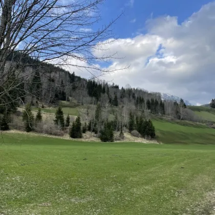 NEUBERG AN DER MÜRZ/KAPELLEN - GROSSZÜGIGER BAURECHTSGRUND - Bild 2