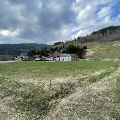 NEUBERG AN DER MÜRZ/KAPELLEN - SCHÖN GELEGENE BAURECHTSGRÜNDE - Bild 3