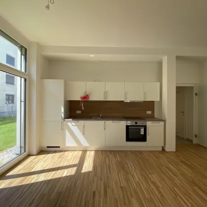 Vermietete 4 Zimmerwohnung mit 280m² Eigengarten - Bild 3