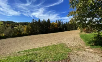 Baugrundstück für Bauträger in Bromberg bei Bad Erlach-Wr.Neustadt-Nähe - Fernblick!