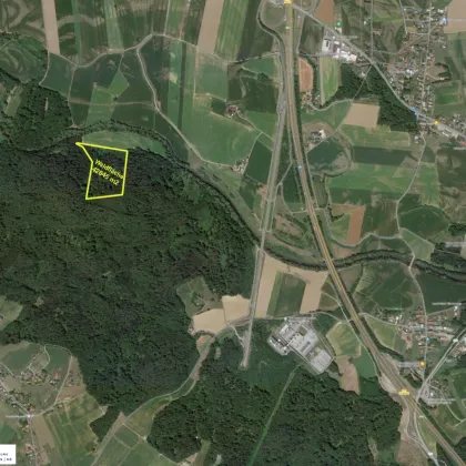 Waldgrundstück (4,26 ha) in Weitendorf zu verkaufen - Bild 2