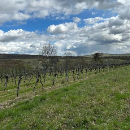 idyllischer landwirtschaftlicher Grund in Winden am See - Bild 2