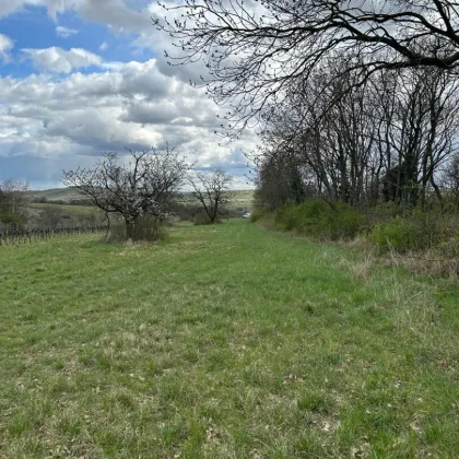 idyllischer landwirtschaftlicher Grund in Winden am See - Bild 3