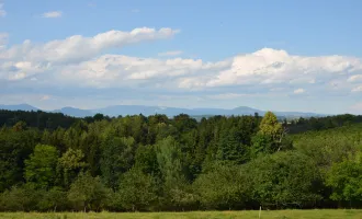 Hönigtal Grundstück für Ein- oder Mehrfamilienhaus oder kleinem Gewerbebetrieb - Panoramablick!