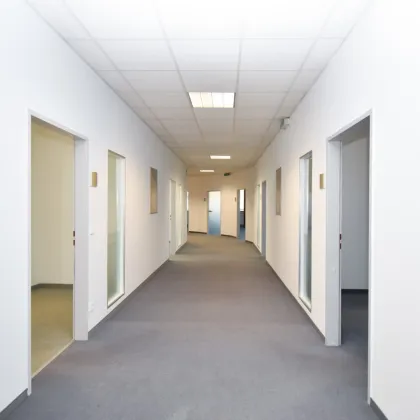 Geräumiges 372 m2 Büro in 1230 Wien zu mieten - Bild 3