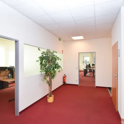 Büro 182 m2 im Industriezentrum Liesing zu mieten - Bild 3