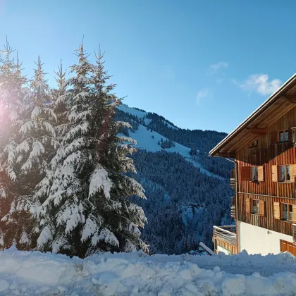 Natur und Erholung garantiert! Gemütliche 2 Zimmer Wohnung mit Feriensitzwidmung im Ebnit - Bild 2