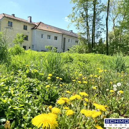 Leben in den Traunauen! Grundstück in Thalheim-Schauersberg - Bild 3