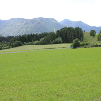 MARIAZELL - SONNIGER WOHN- UND GEWERBEBAURECHTSGRUND - Bild 2