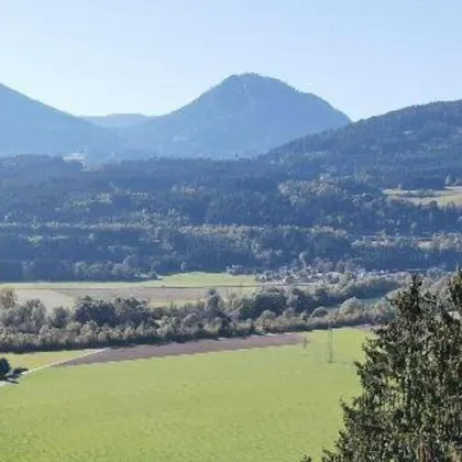 K3 - GELEGENHEIT FÜR BAUTRÄGER: Großer sonniger Baugrund, Südhang-Lage, unverbaubarer Fernblick, Waldrandlage im Dorfgebiet. Genehmigtes Bauprojekt vorhanden! Guter Preis. - Bild 2