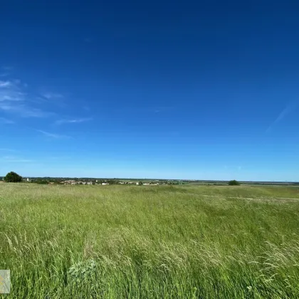 Nickelsdorf -sonniges Grundstück in absoluter Ruhelage - Bild 2