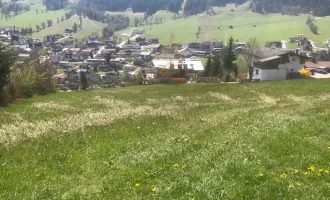 Lebensfähiger Bergbauernhof in Sonnenlage in der Wildschönau zu verkaufen