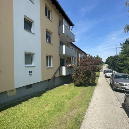 Familien aufgepasst! Zentral gelegene 4-Zimmer Wohnung mit Balkon in Ried im Innkreis umgeben von perfekter Infrastruktur! - Bild 3