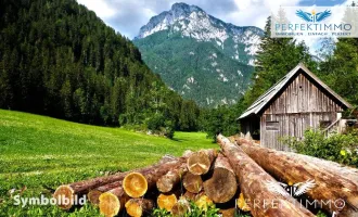 Wald- und Wiesengrundstücke in Arzl im Pitztal