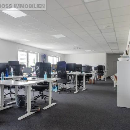 Businessfläche am TOP Standort - 913m² - Bild 3