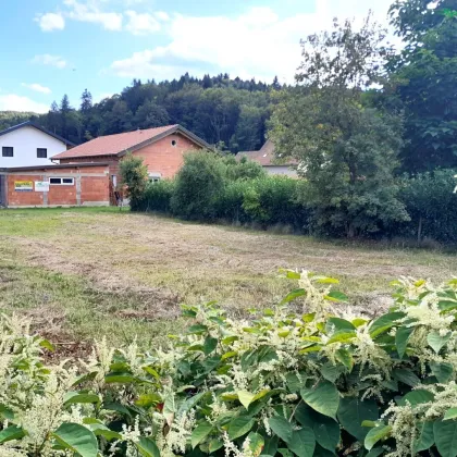 TOPLAGE in GROSSKLEIN*** sonniges Grundstück, eben, aufgeschlossen, wenige Minuten ins Ortszentrum*** - Bild 3