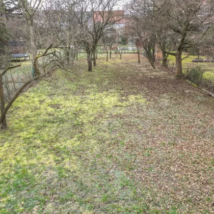 522m² Garten (kein Baugrund) mitten in Langenzersdorf - Bild 3