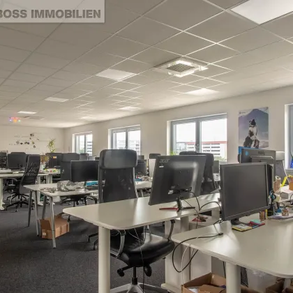 Businessfläche am TOP Standort - 380 m² - Bild 2