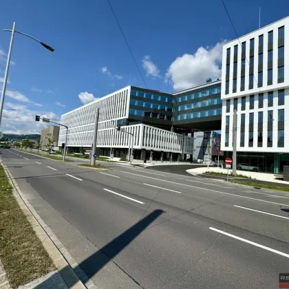 DAS HAFENPORTAL I BÜROFLÄCHEN BIS ZU 5.000 m² - Bild 3