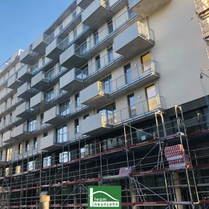 Traumdachterrasse mit Seeblick! 3 Minuten zur U2 Station - Lichtdurchflutete Ateliers mit Schwimmbiotop - Bild 2