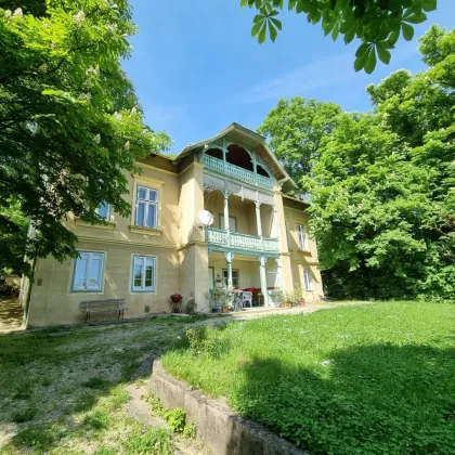 Die Villa wirst Du haben müssen, um Dornröschen wachzuküssen! - Bild 2