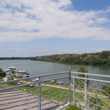 Wunderschöner Blick auf die Donau! Einfamilienhaus mit 2 Wohneinheiten bietet viele Möglichkeiten! - Bild 3