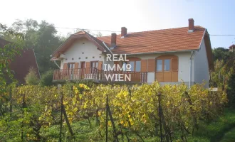 Ferienhaus Mitten am Weinberg **ALTER WEINKELLER**