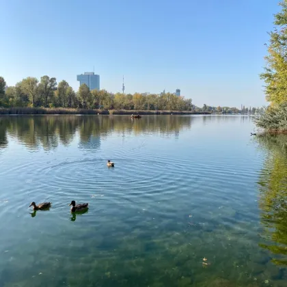 Sonnige, moderne Wohnung mit Terrasse, Balkon und Garten bei der Alten Donau - Bild 2