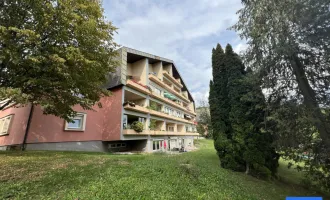 Kleine und leistbare Wohnung in Idyllischer Grünlage.