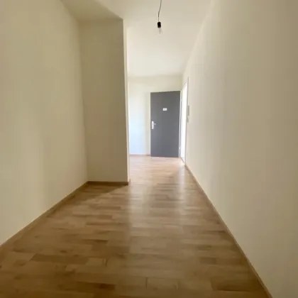 Provisionsfrei - große 2  Zimmer Genossenschaftswohnung mit Westbalkon - Bild 3