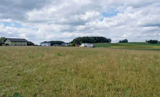 Landwirtschaft, Milch- und Mastbetrieb ca. 35 km nördlich von Salzburg