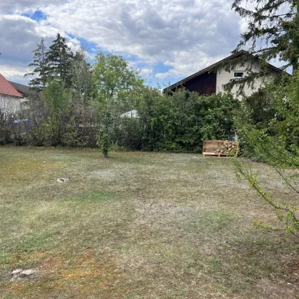 Ebenerdiges Grundstück in ruhiger Siedlungslage - Matzendorf-Hölles bei Leobersdorf - Bild 3