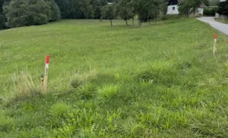 Schönes Grundstück, Bauland und LW. Fläche