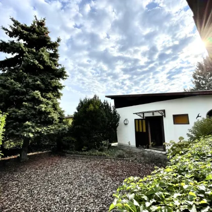 ***SUMMER-SALE / NEUER PREIS!! SOMMER-BUNGALOW AM NEUFELDERSEE - Bild 2