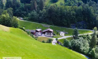 Landwirtschaftliches Liebhaber Objekt