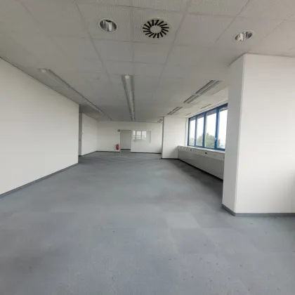 253 - Helle Bürofläche (240m²) - zu mieten im IKANO OFFICE PARK 2351 Wiener Neudorf - Bild 3