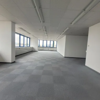 253 - Helle Bürofläche (240m²) - zu mieten im IKANO OFFICE PARK 2351 Wiener Neudorf - Bild 2